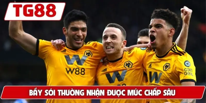 Bầy Sói thường nhận được mức chấp sâu