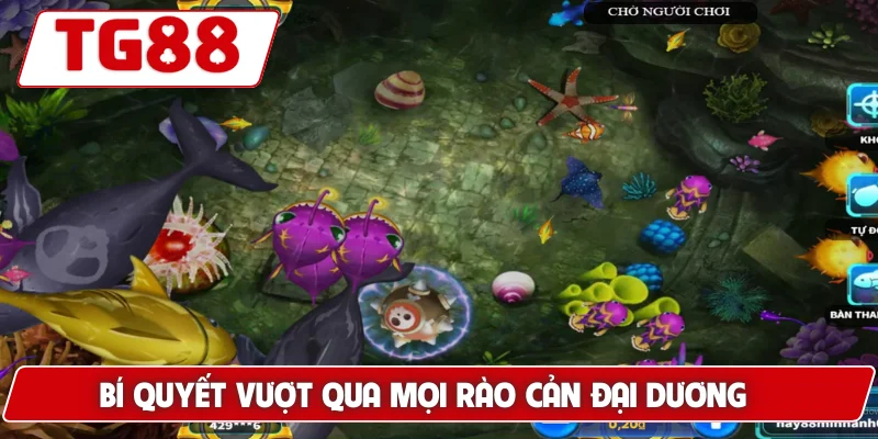 Bí quyết vượt qua mọi rào cản đại dương