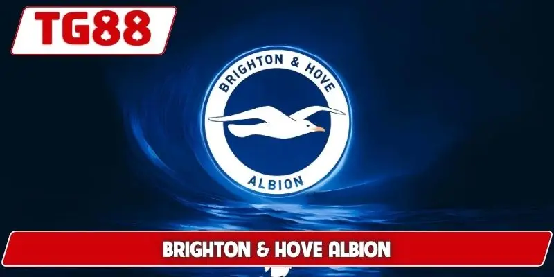 Brighton Và Hove Albion