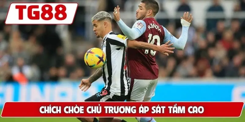 Chích chòe chủ trương áp sát tầm cao