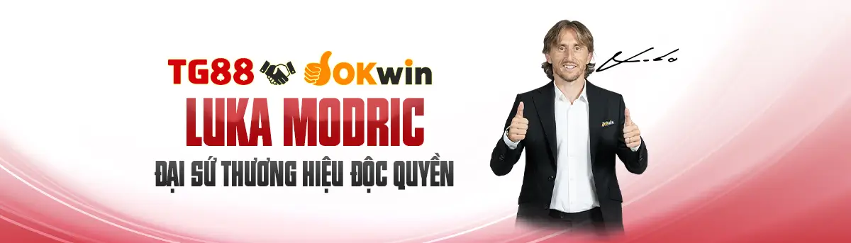 Đại sứ thương hiệu okwin