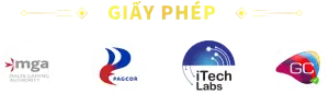 Giấy phép tg88