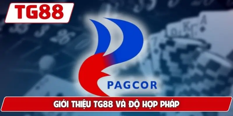 Giới Thiệu TG88 - Nhà Cái Uy Tín Số 1, Tầm Nhìn Dài Hạn 6 Giới thiệu TG88 và độ hợp pháp