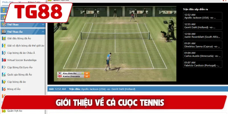 Giới thiệu về cá cược tennis