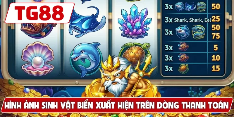 Hình ảnh sinh vật biển xuất hiện trên dòng thanh toán