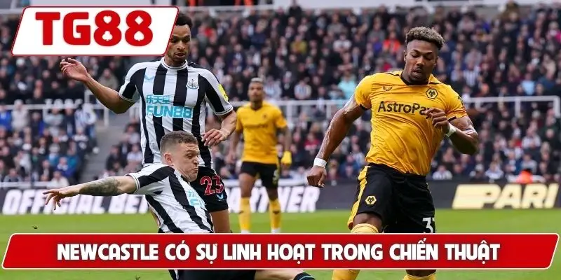 Newcastle có sự linh hoạt trong chiến thuật