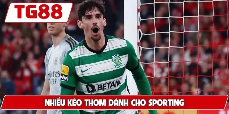 Nhiều kèo thơm dành cho Sporting
