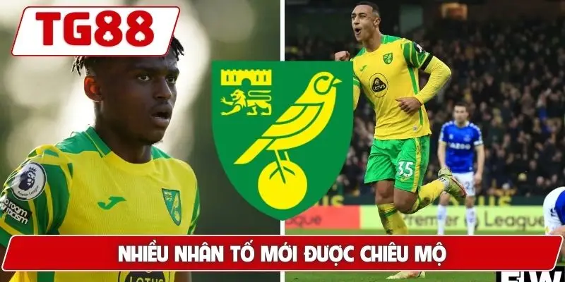 Nhiều nhân tố mới được chiêu mộ