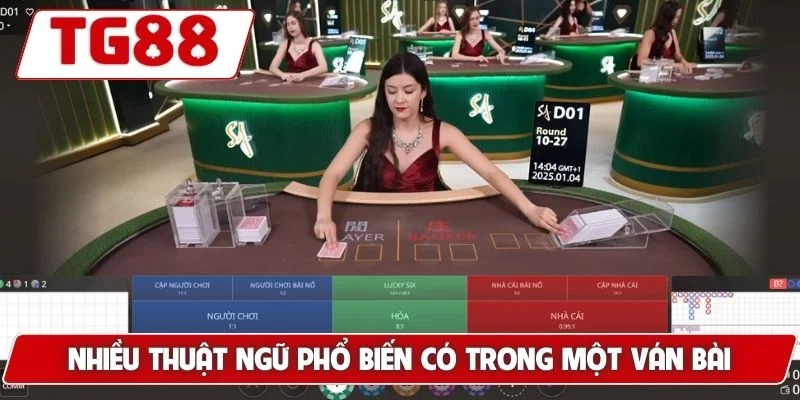 Nhiều thuật ngữ phổ biến có trong một ván bài
