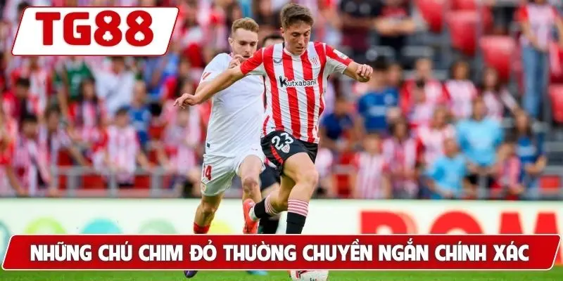 Những chú chim đỏ thường chuyền ngắn chính xác