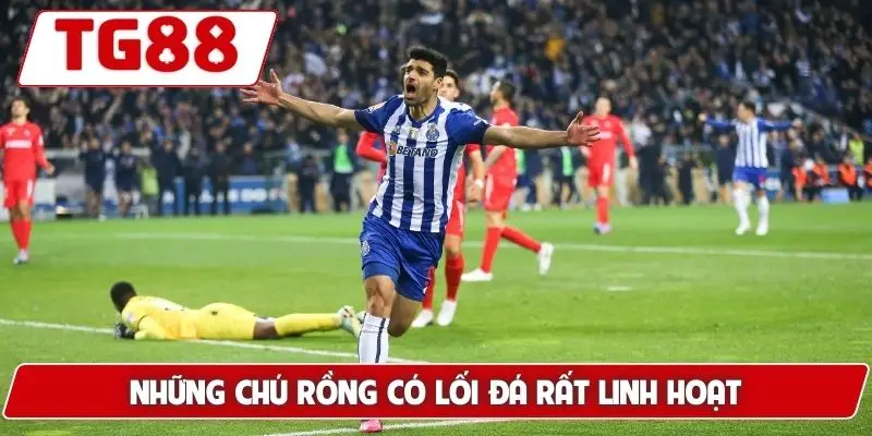 Những chú rồng có lối đá rất linh hoạt