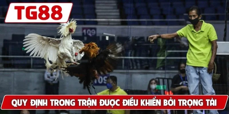 Quy định trong trận được điều khiển bởi trọng tài