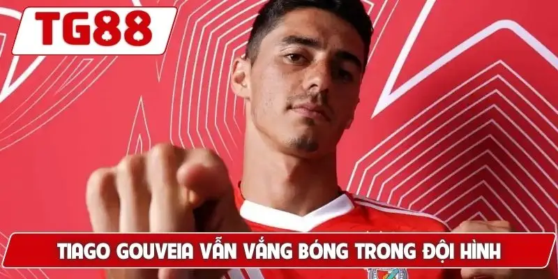 Benfica: Cập Nhật Kèo Cược Benfica FC Tại TG88 Hôm Nay 8 Tiago Gouveia vẫn vắng bóng trong đội hình